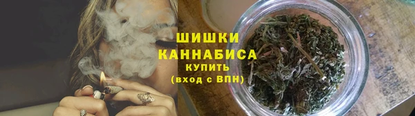 ПСИЛОЦИБИНОВЫЕ ГРИБЫ Балабаново