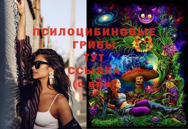 МДПВ Армянск