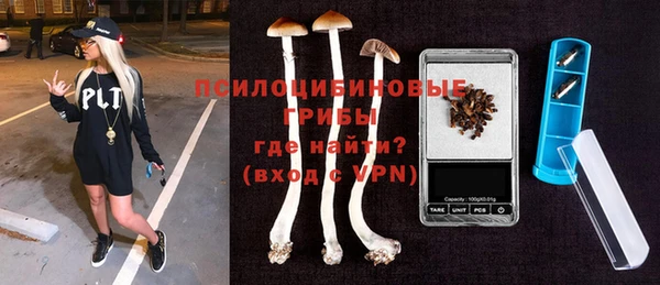 ПСИЛОЦИБИНОВЫЕ ГРИБЫ Балабаново