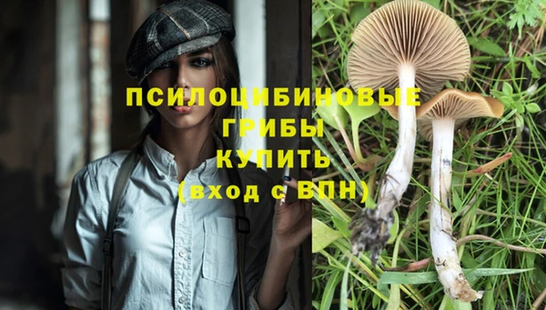 амф Балахна