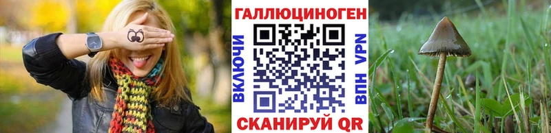 omg ONION  Таруса  Псилоцибиновые грибы мухоморы 